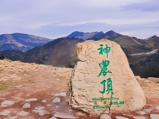 ⭐哪里有
TK直播号
哪里可以买到